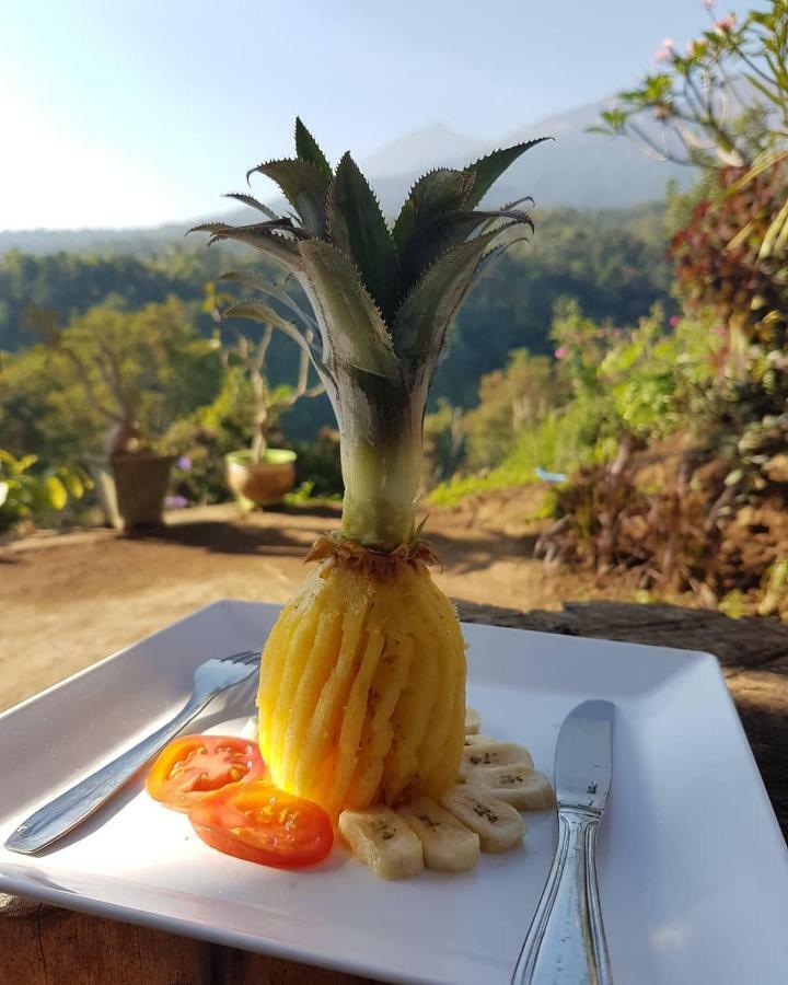Dragonfly Senaru Lodge 외부 사진